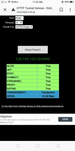 124.webp
