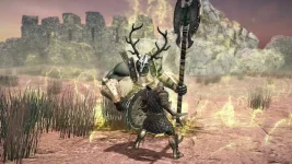 animus4.webp