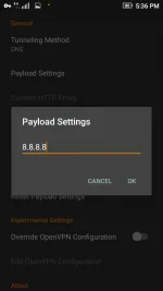3.webp