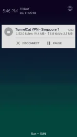 5.webp
