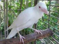 images (3).webp