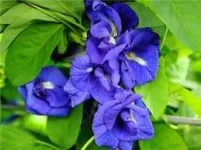 images.webp images.webp