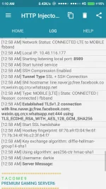 Screenshot_2018-11-18-01-10-41-175_com.evozi.injector.lite.webp