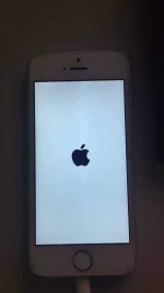 48212743_2318006295100584_7795389526553133056_n.webp