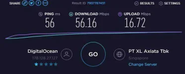 ping.webp