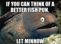 fish.webp