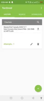 Torrdroid.webp