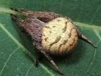 images.webp images.webp