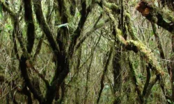 images (5).webp