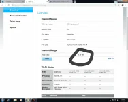 bug4.webp