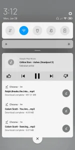 Screenshot_2019-01-28-03-12-53-127_com.mi.android.globalFileexplorer.webp