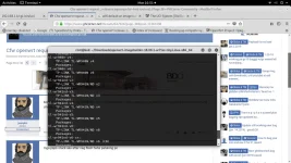 Screenshot from 2019-01-28 16-51-39.webp