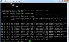4.webp