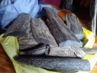 FB_IMG_1549176443722.webp
