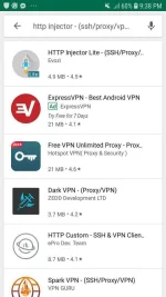 Screenshot_20190301-213808_Google Play Store.webp
