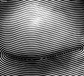 566741 566741