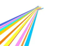 8.webp