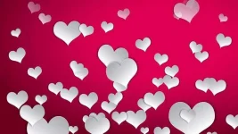 1 (4).webp