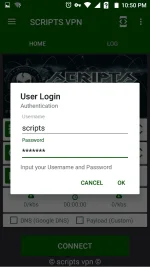567310 567310