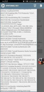 53694062_573826523083434_3952613618884804608_n.webp