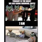 FB_IMG_15523962669575663.webp