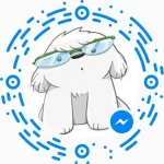17904264_1681860611830138_8896063954254559116_n.webp
