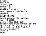 openvpn.webp