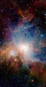 images (4).webp