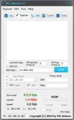 svlinjector.webp