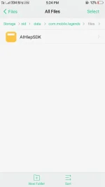 Screenshot_2019-04-08-17-24-27-45.webp