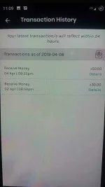 56917765_504156160116595_1958570593817198592_n.webp