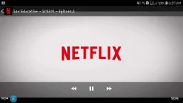 Screenshot_20190413-065738_nêtflïx ρrø      @ F M H As & Us.webp