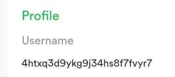 597936