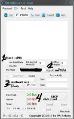 2.webp