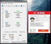 SVL+EVPN.webp