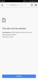 Screenshot_20190430-162745_Chrome.webp