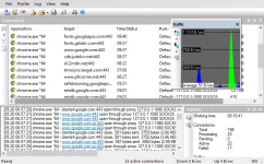 A-Dev1412-PR - Proxifier Portable 20_05_2019 7_07_41 AM.webp