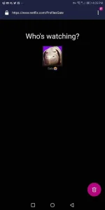 Screenshot_20190528-160523.webp