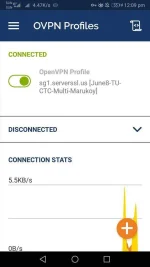 Screenshot_20190609_120933_net.openvpn.openvpn.webp