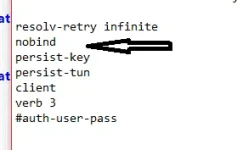 1.webp