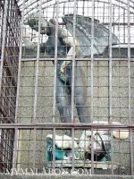 images (4).webp