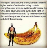 banana brownspot.webp
