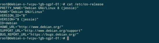 Screenshot_2019-07-10-10-25-57-191_com.sonelli.juicessh.webp