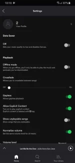 Screenshot_20190724-101059_Spotify.jpg