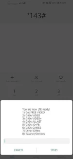 Screenshot_20190727_210052_com.android.phone.webp