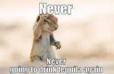 tequila.webp