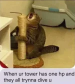 62403720_1219337541569631_1197120227070967808_n.webp