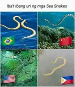 sea snake.webp