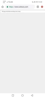 Screenshot_20190821_005913_com.android.chrome.webp