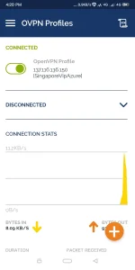 Screenshot_2019-08-25-16-20-04-597_net.openvpn.openvpn.webp